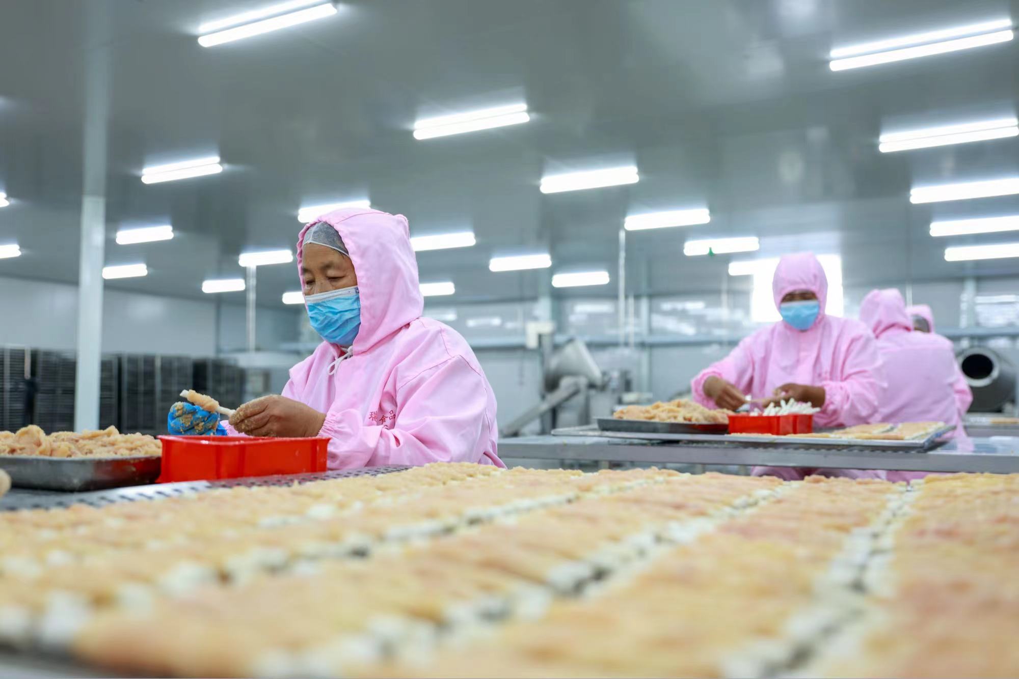 大众新闻专访我厂报道“它经济”的新业态